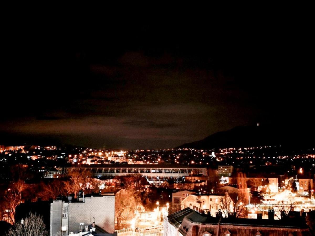 Mlynska 8 Apartament Z Prywatnym Basenem Bielsko-Biała Eksteriør billede