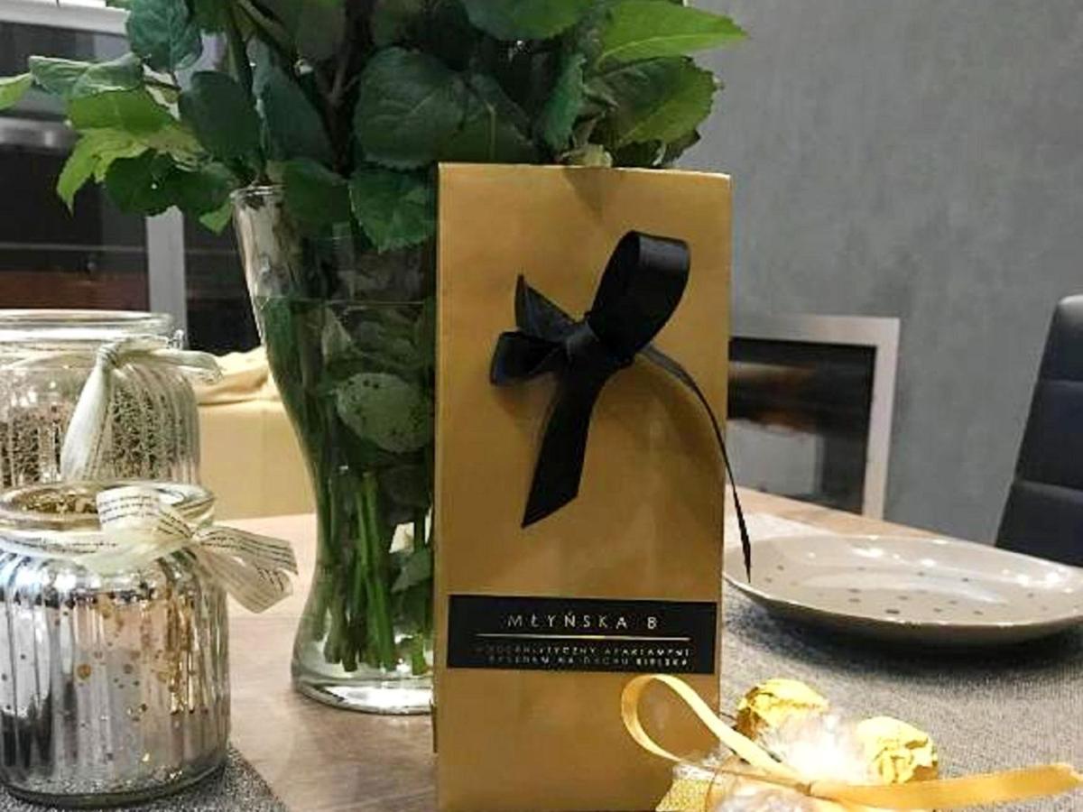 Mlynska 8 Apartament Z Prywatnym Basenem Bielsko-Biała Eksteriør billede